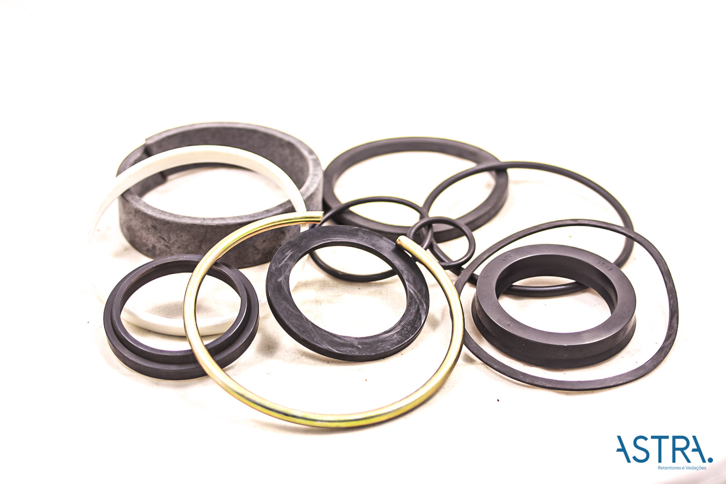 REPARO - 31309 - CASE E66054