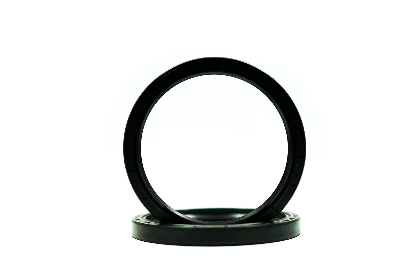 RETENTOR - 20419 - BRG - 100,00X120,00X12,00