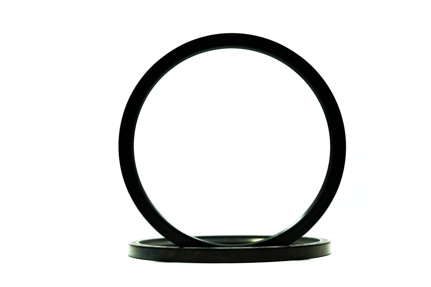 RETENTOR - 20796 - 220,00X250,00X15,00 - BRG