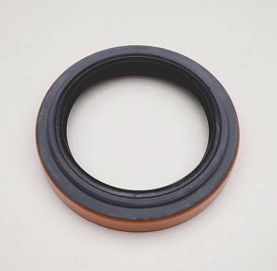 RETENTOR - 5177 - 02484-BGE