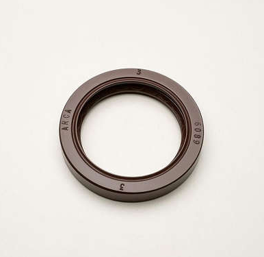 RETENTOR - 60899 - 01911-BRGF