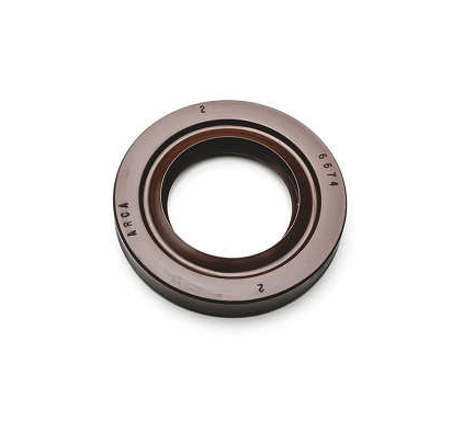 RETENTOR - 6674 - VITON