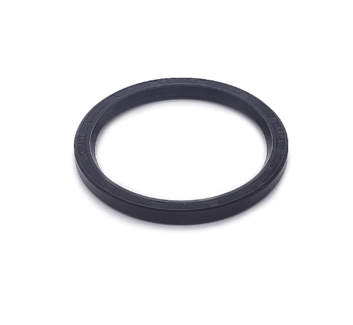 RETENTOR - 7546 - 02636-GR